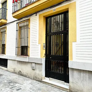 https://nuevo-pacheco-donkey.es-andalucia.com